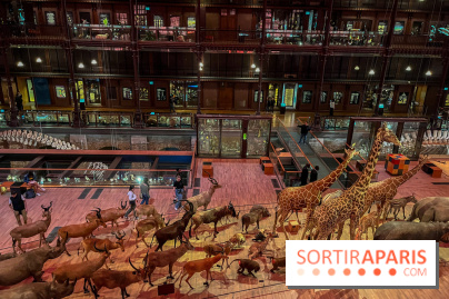 Grande Galerie de l'évolution- visuels 2024 - image00028