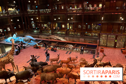 Grande Galerie de l'évolution- visuels 2024 - image00033