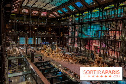 Grande Galerie de l'évolution- visuels 2024 - image00002