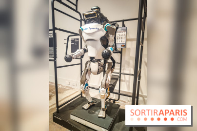 Match, design et sport : l'exposition originale du musée du Luxembourg