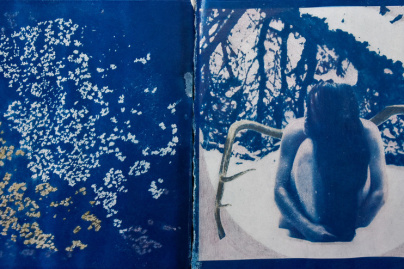 Campagne #32556 - (c) Magdéleine Ferru   The Analog Festival 2024