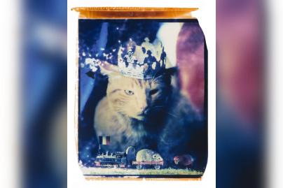 Campagne #32556 - (c) Marc H. Peverelli   What's blue noisycat     The Analog Festival 2024