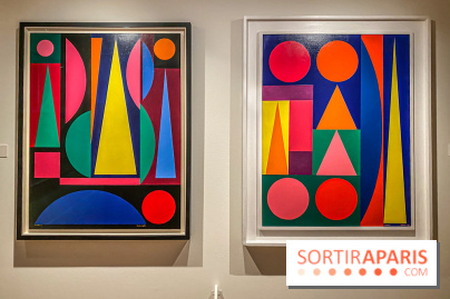 Exposition Auguste Herbin au Musée de Montmartre - IMG 5183