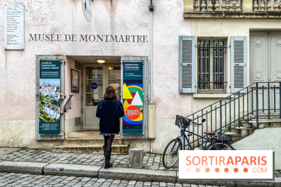 Exposition Auguste Herbin au Musée de Montmartre - IMG 5074