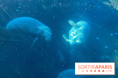 Zoo de Vincennes, Parc zoologique 2024 - nos photos - image00044