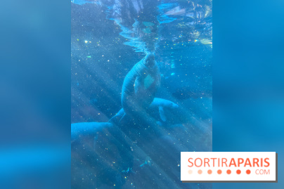 Zoo de Vincennes, Parc zoologique 2024 - nos photos - image00042