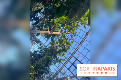 Zoo de Vincennes, Parc zoologique 2024 - nos photos - image00036