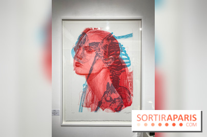 Exposition Cyber Surréalisme à la galerie Goldshteyn-Saatort - IMG 5265