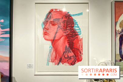 Exposition Cyber Surréalisme à la galerie Goldshteyn-Saatort - IMG 5266