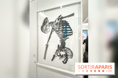 Exposition Cyber Surréalisme à la galerie Goldshteyn-Saatort - IMG 5276