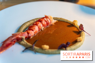 Le Panoramique, le restaurant étoilé des Yvelines à Rolleboise -  A7C0122