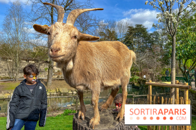 Visuels enfants, attractions, parc, Jardin d'Acclimatation, animaux, zoo - image00052
