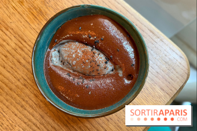 Mojju - Mousse chocolat glace sésame noir