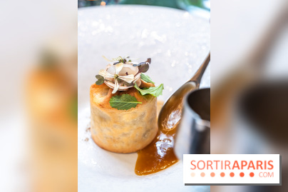 SPA et déjeuner gastronomique au Burgundy, la Parenthèse étoilée du Baudelaire  -  A7C8455