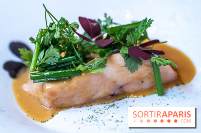 SPA et déjeuner gastronomique au Burgundy, la Parenthèse étoilée du Baudelaire  -  A7C8486