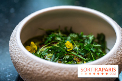 SPA et déjeuner gastronomique au Burgundy, la Parenthèse étoilée du Baudelaire  -  A7C8487