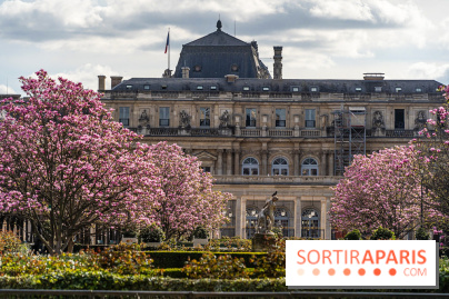 Les magnolias du Jardin du Palais Royal