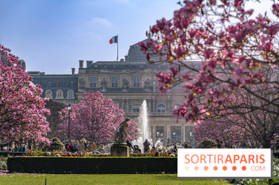 Les magnolias du Jardin du Palais Royal  - printemps - visuel Paris