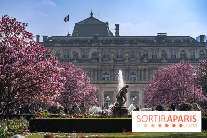 Les magnolias du Jardin du Palais Royal  - printemps - visuel Paris
