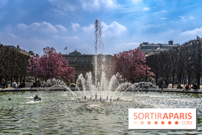 Les magnolias du Jardin du Palais Royal  - printemps - visuel Paris - fontaine - chaleur - beau temps