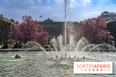 Les magnolias du Jardin du Palais Royal  - printemps - visuel Paris - fontaine - chaleur - beau temps