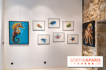 Exposition street-art Sax à Paris : A travers l'océan -  A7C9103