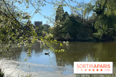 Lac de Saint-Mandé - nos photos - WhatsApp Image 2024 03 22 à 16.15.39 86c32a56