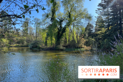 Lac de Saint-Mandé - nos photos - WhatsApp Image 2024 03 22 à 16.12.39 4c5a0a5e