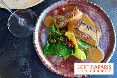 LAVA - Lieu jaune au miso