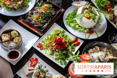 Didi Saigon, le restaurant vietnamien de Villiers sur Marne (94) -  A7C9327