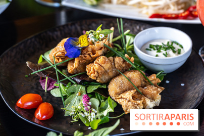 Didi Saigon, le restaurant vietnamien de Villiers sur Marne (94) -  raviolis aux crevettes