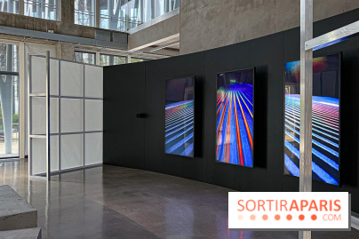 Figure Libre. Stéphane Ashpool - exposition mode à la Galerie du 19M - image00046