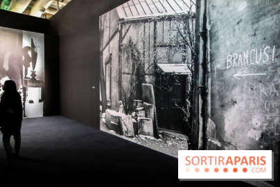 Brancusi au Centre Pompidou, nos photos - IMG 3230