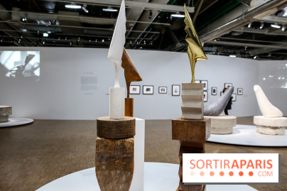 Brancusi au Centre Pompidou, nos photos