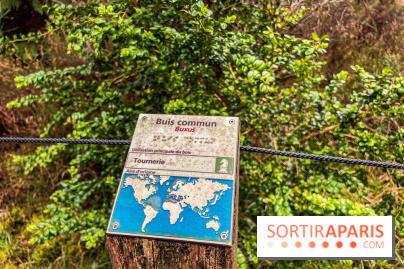 Arbor&Sens, l'Arboretum de Franchard en forêt de Fontainebleau - les photos - IMG 7955