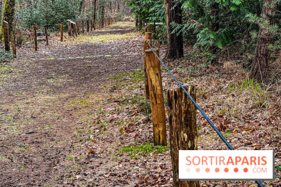 Arbor&Sens, l'Arboretum de Franchard en forêt de Fontainebleau - les photos - IMG 7937