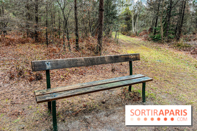 Arbor&Sens, l'Arboretum de Franchard en forêt de Fontainebleau - les photos - IMG 7934