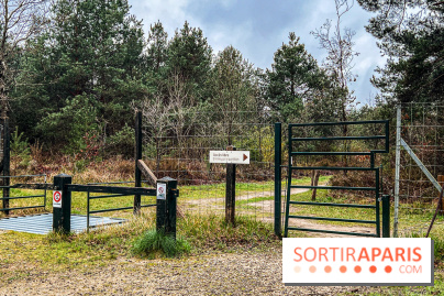 Arbor&Sens, l'Arboretum de Franchard en forêt de Fontainebleau - les photos - IMG 7900