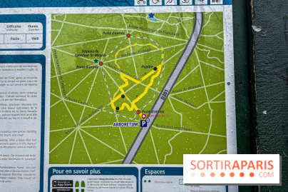 Arbor&Sens, l'Arboretum de Franchard en forêt de Fontainebleau - les photos - IMG 7899