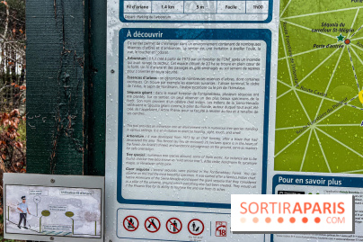 Arbor&Sens, l'Arboretum de Franchard en forêt de Fontainebleau - les photos - IMG 7898