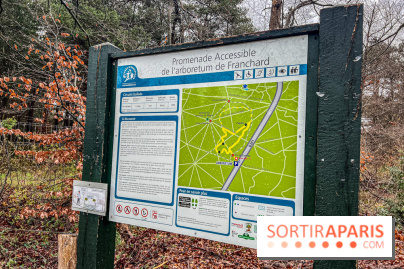Arbor&Sens, l'Arboretum de Franchard en forêt de Fontainebleau - les photos
