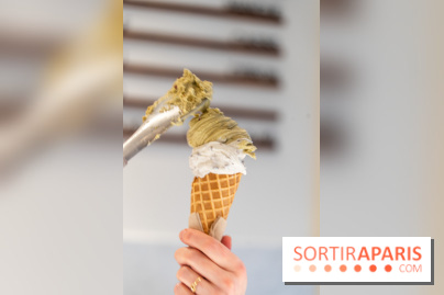 Brigat' Gelato - la glacerie Place des Vosges