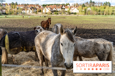 Le Parc du Château de Plaisir (78) - photos -  A7C0033