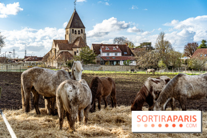Le Parc du Château de Plaisir (78) - photos -  A7C0032