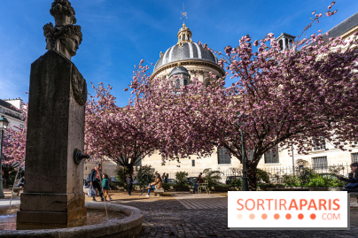 Square Gabriel Pierné à Paris - cerisiers en fleurs