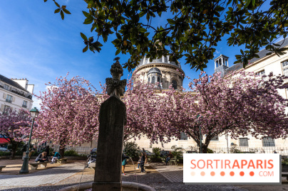 Square Gabriel Pierné à Paris - cerisiers en fleurs