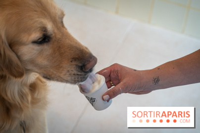 Seven Heaven, le coffee shop dog's friendly et kid's friendly de Paris 11e - River