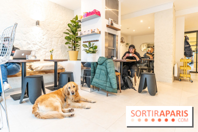 Seven Heaven, le coffee shop dog's friendly et kid's friendly de Paris 11e -  A7C0496