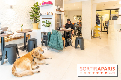 Seven Heaven, le coffee shop dog's friendly et kid's friendly de Paris 11e -  A7C0495