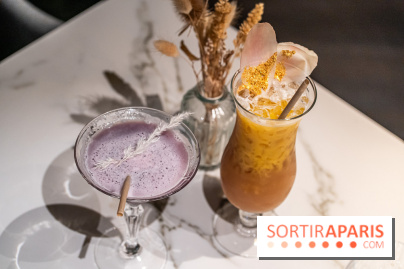 L'Aigle Noir Hôtel à Fontainebleau -  A7C9772